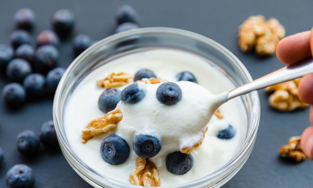 Probiotic Yogurt Singapore for Natural Digestion and Wellness Support
